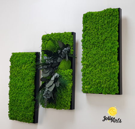 Set 3 Tablouri Green Day – Licheni și Plante Naturale Stabilizate [3]
