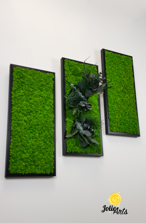 Set 3 Tablouri Green Day – Licheni și Plante Naturale Stabilizate [3]