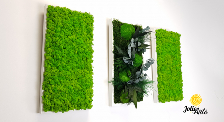 Set Green Day 3 Tablouri Licheni Mușchi Plante Stabilizate [4]
