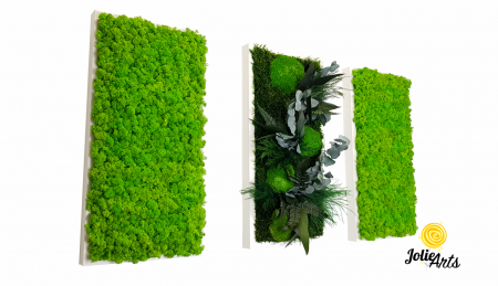 Tablouri - Set Green Day 3 Tablouri Licheni Mușchi Plante Stabilizate