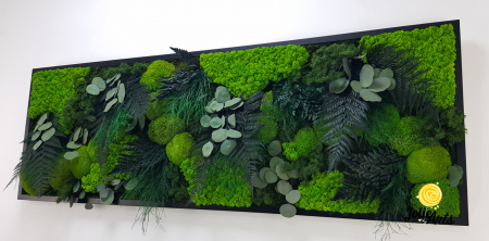 Tablou Green Island cu licheni și plante naturale – Jolie Arts [4]