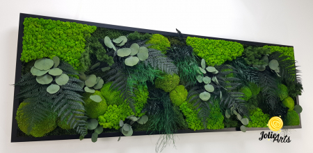 Tablou Green Island cu licheni și plante naturale – Jolie Arts [5]