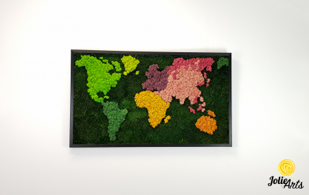Tablou licheni, muschi plati, Model Harta, dimensiune 60 x 100 cm, rama culoare natur, Jolie Arts, www.tablouriculicheni.ro-3 [2]