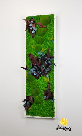 Model Ilona, Design Vertical, tablou licheni, muschi si plante naturale stabilizate [1]