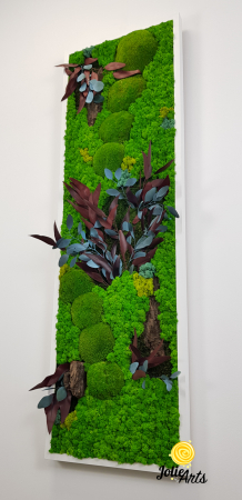 Model Ilona, Design Vertical, tablou licheni, muschi si plante naturale stabilizate [4]