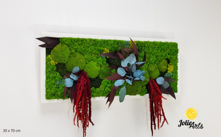 Toate Produsele - Tablou Ilona personalizat cu licheni, mușchi și plante naturale stabilizate – Jolie Arts