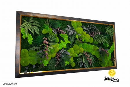 Tablouri - Tablou Island – mușchi, licheni, plante stabilizate, ramă aurie