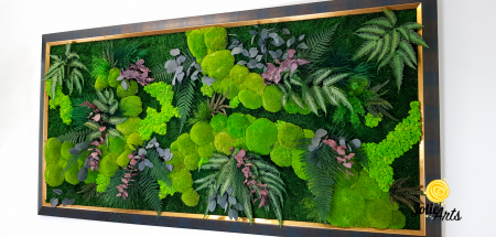 Tablou Island – mușchi, licheni, plante stabilizate, ramă aurie [1]