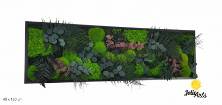 Tablou Island licheni mușchi plante stabilizate [2]