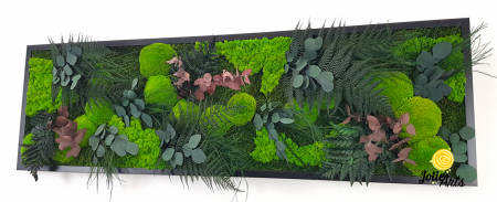 Tablou Island licheni mușchi plante stabilizate [1]