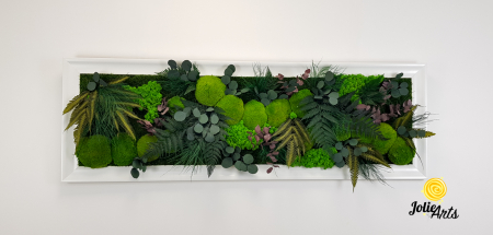 Tablou Island licheni mușchi plante stabilizate [3]