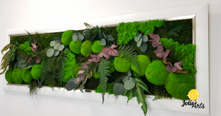 Tablou Island licheni mușchi plante stabilizate [5]