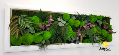 Tablou Island licheni mușchi plante stabilizate [6]