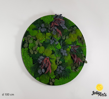 Toate Produsele - Model Island cu ramă rotundă – Tablou cu licheni și plante naturale – Jolie Arts