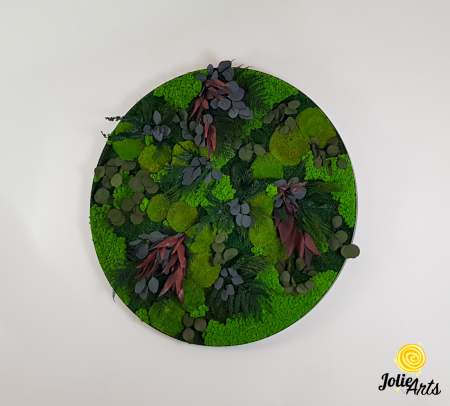 Model Island cu ramă rotundă – Tablou cu licheni și plante naturale – Jolie Arts [1]