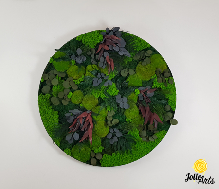 Model Island cu ramă rotundă – Tablou cu licheni și plante naturale – Jolie Arts [2]