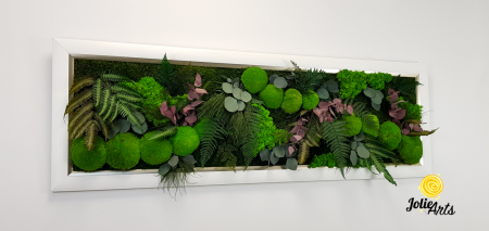Tablou Island licheni mușchi plante stabilizate [4]