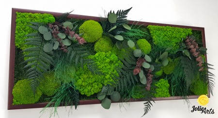 Tablou Island licheni mușchi plante stabilizate [5]