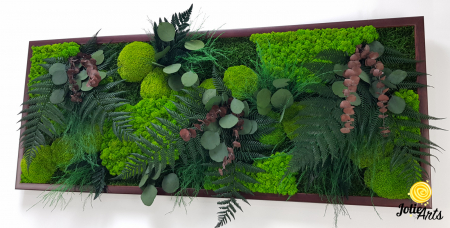 Tablou Island licheni mușchi plante stabilizate [4]