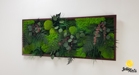 Tablou Island licheni mușchi plante stabilizate [2]