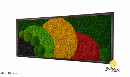 Tablou licheni si muschi naturali stabilizati, Model Jamaica, dimensiune 20 x 80 cm, rama neagra-2 [0]