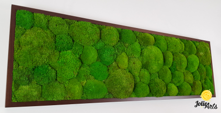 Tablou cu mușchi bombati verde deschis naturali stabilizați, efect 3D, handmade [4]