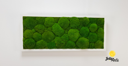 Tablou cu mușchi bombati verde deschis naturali stabilizați, efect 3D, handmade [3]
