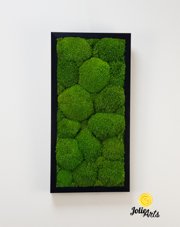 Tablou cu mușchi bombati verde deschis naturali stabilizați, efect 3D, handmade [2]