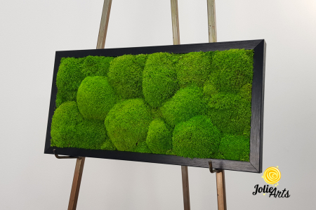Tablou cu mușchi bombati verde deschis naturali stabilizați, efect 3D, handmade [1]