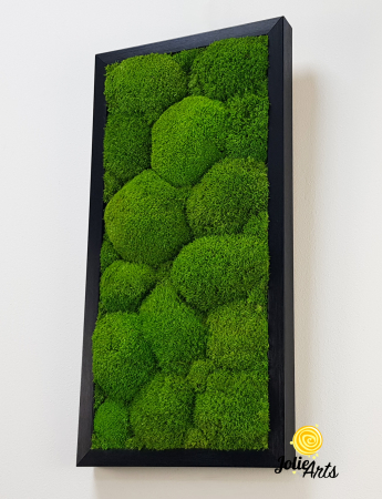 Tablou cu mușchi bombati verde deschis naturali stabilizați, efect 3D, handmade [5]