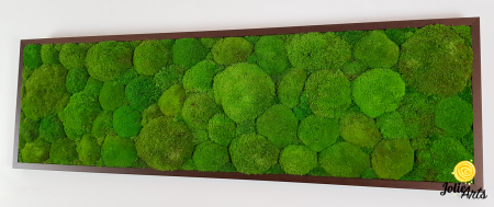 Tablou cu mușchi bombati verde deschis naturali stabilizați, efect 3D, handmade [3]
