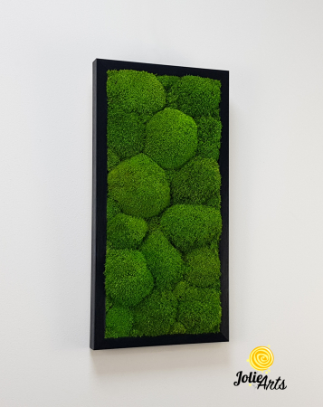 Tablou cu mușchi bombati verde deschis naturali stabilizați, efect 3D, handmade [3]