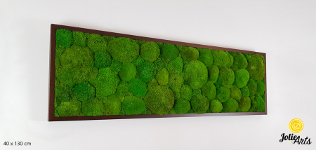 Tablouri Muschi - Tablou cu mușchi bombati verde deschis naturali stabilizați, efect 3D, handmade