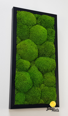 Tablou cu mușchi bombati verde deschis naturali stabilizați, efect 3D, handmade [4]