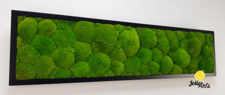 Tablou cu mușchi bombati verde deschis naturali stabilizați, efect 3D, handmade [6]