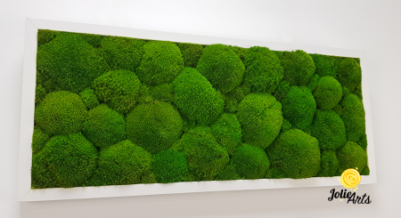 Tablou cu mușchi bombati verde deschis naturali stabilizați, efect 3D, handmade [6]