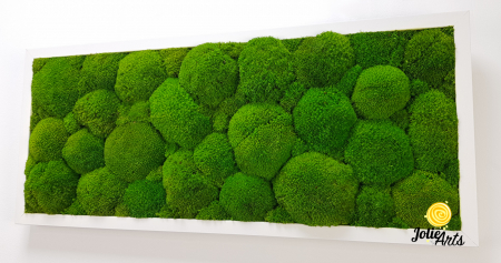 Tablou cu mușchi bombati verde deschis naturali stabilizați, efect 3D, handmade [5]