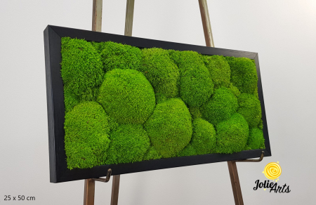 Tablouri Muschi - Tablou cu mușchi bombati verde deschis naturali stabilizați, efect 3D, handmade