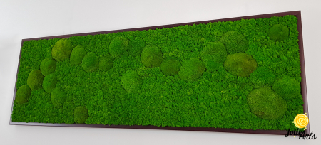 tablou muschi bombati verde deschis si licheni naturali stabilizati Jolie Arts [3]