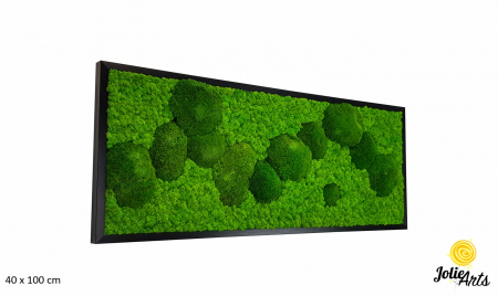 Model Muschi Bombati Verde Deschis si Licheni Naturali Stabilizati [0]