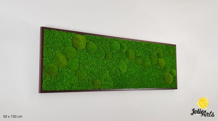 Tablouri Muschi - tablou muschi bombati verde deschis si licheni naturali stabilizati Jolie Arts