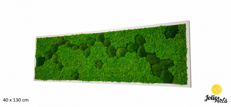 tablou muschi bombati verde deschis si licheni naturali stabilizati Jolie Arts [1]