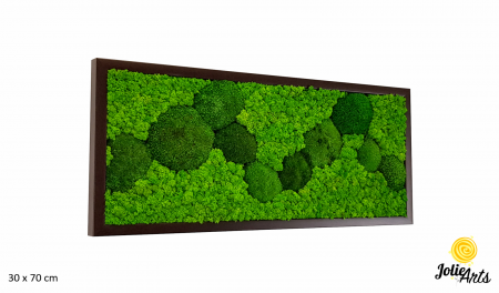 Tablouri Muschi - tablou muschi bombati verde deschis si licheni naturali stabilizati Jolie Arts