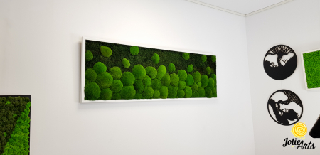 tablou-muschi-bombati-verde-deschis-si-muschi-plat [4]