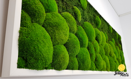 tablou-muschi-bombati-verde-deschis-si-muschi-plat [6]
