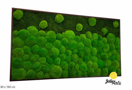 Tablouri - tablou-muschi-bombati-verde-deschis-si-muschi-plat
