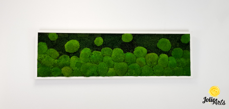 tablou-muschi-bombati-verde-deschis-si-muschi-plat [3]
