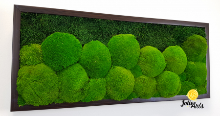 tablou-muschi-bombati-verde-deschis-si-muschi-plat [7]