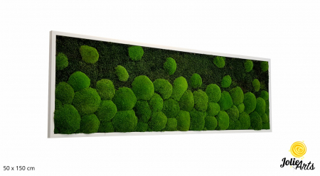 tablou-muschi-bombati-verde-deschis-si-muschi-plat [1]