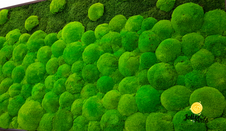 tablou-muschi-bombati-verde-deschis-si-muschi-plat [4]